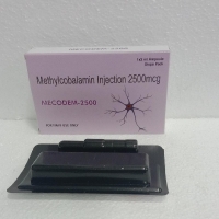 MECODEM 2500