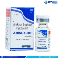 Aminux 500