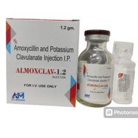 Almoxclav 12 Injection