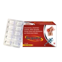 Go Guard Tablets