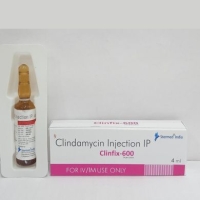 Clinfix 600 Injection