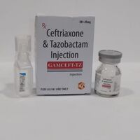 Gamceft TZ Injection