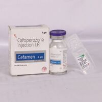 Cefamen 1 GM Injection