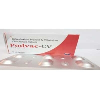 PODVAC CV