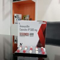 Segomox 500 Capsules