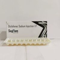 Segflam Injection