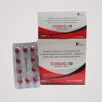 COSOQ 10