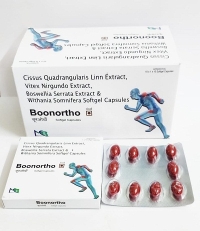 BOONORTHO