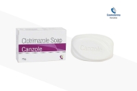 Canzole