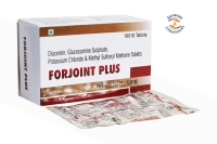 Forjoint-Plus