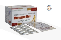 Merrygen-Plus